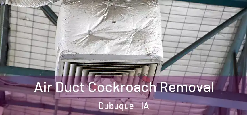  Air Duct Cockroach Removal Dubuque - IA