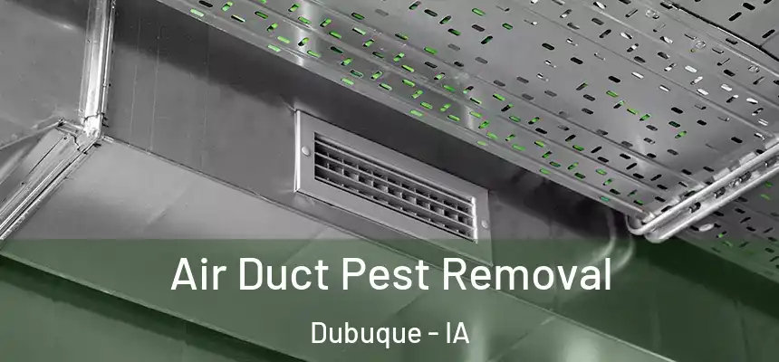  Air Duct Pest Removal Dubuque - IA