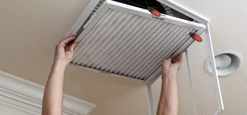 Preventive Cockroach-Proofing for Ducts in Dubuque
