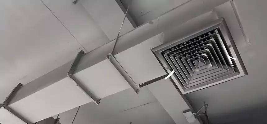 Our Rodent Droppings In Vents Services in Dubuque, IA