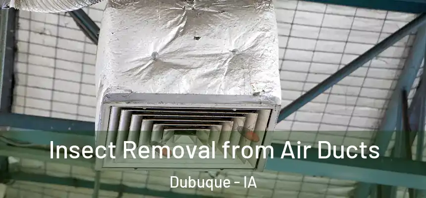 Insect Removal from Air Ducts Dubuque - IA