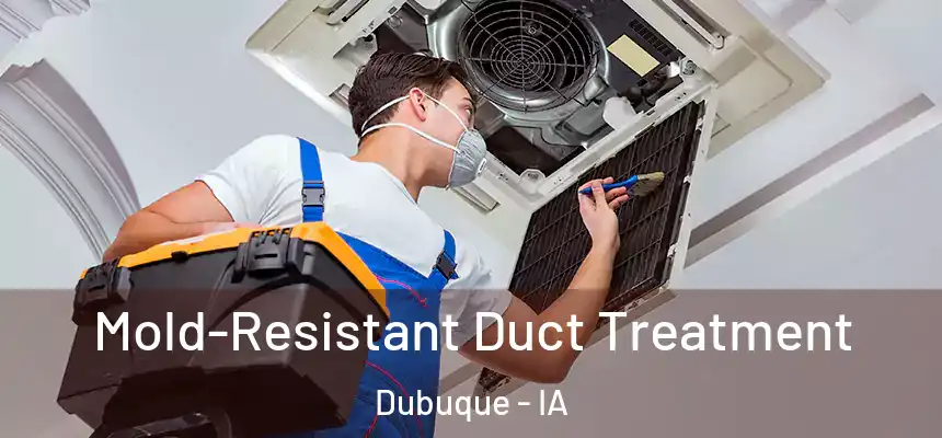Mold-Resistant Duct Treatment Dubuque - IA