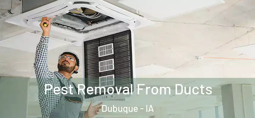  Pest Removal From Ducts Dubuque - IA