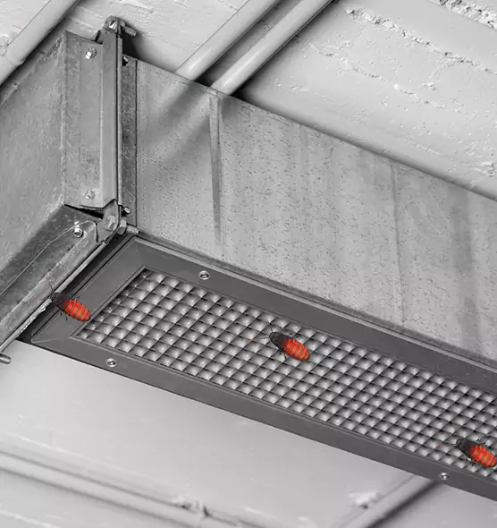 Affordable Insect Removal from Air Ducts in Dubuque, IA