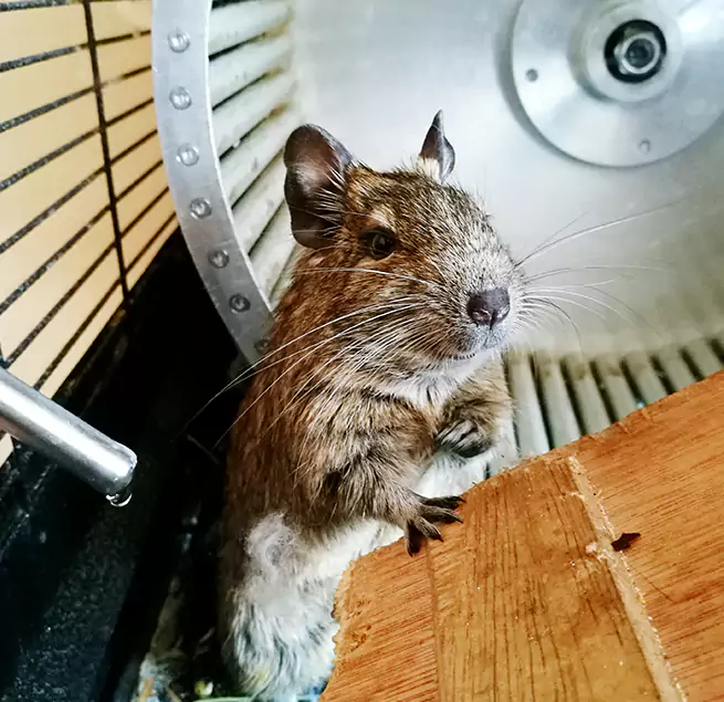 Why Homeowners & Businesses Trust Us Dubuque, IA?