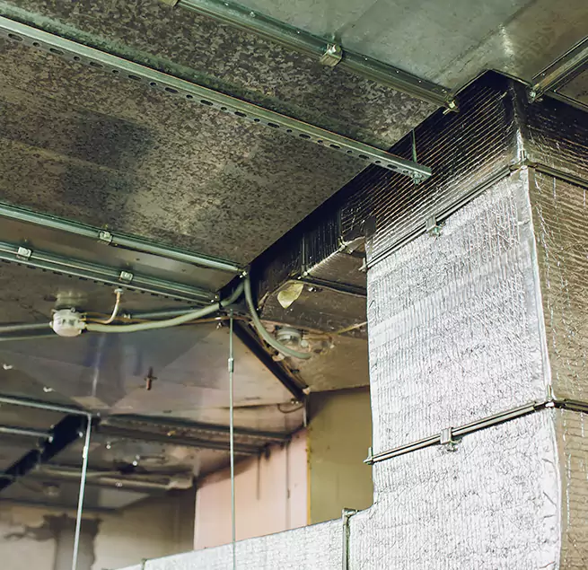 Why Homeowners & Businesses Trust Us in Dubuque, IA?